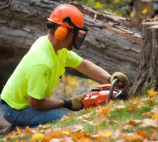 tree services Stanton